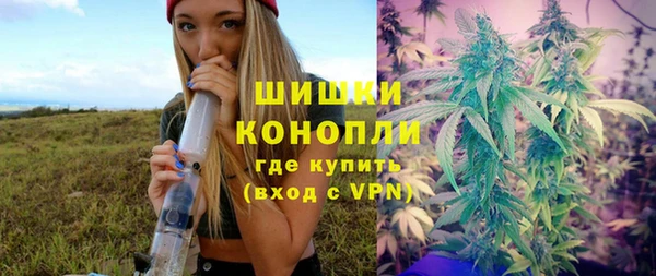 индика Абдулино