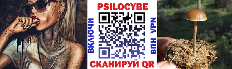 mega ONION  Нюрба  Псилоцибиновые грибы мухоморы  сколько стоит 